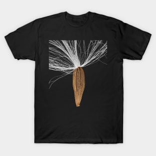 Seed of Lapsana communis, the common nipplewort T-Shirt